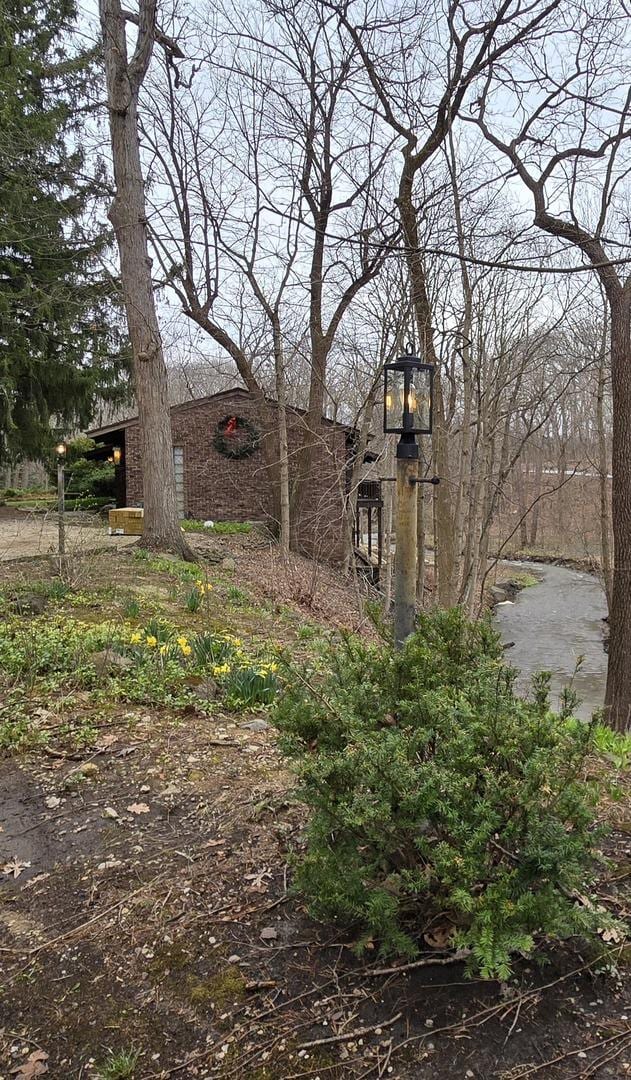 12211 S 93rd Ave, Palos Park, IL 60464 - view of yard