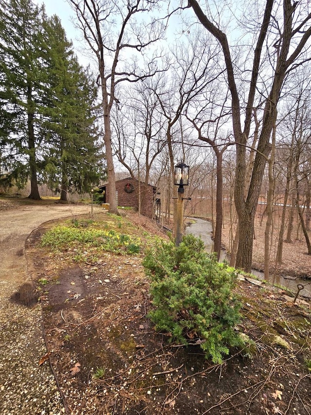 12211 S 93rd Ave, Palos Park, IL 60464 - view of yard
