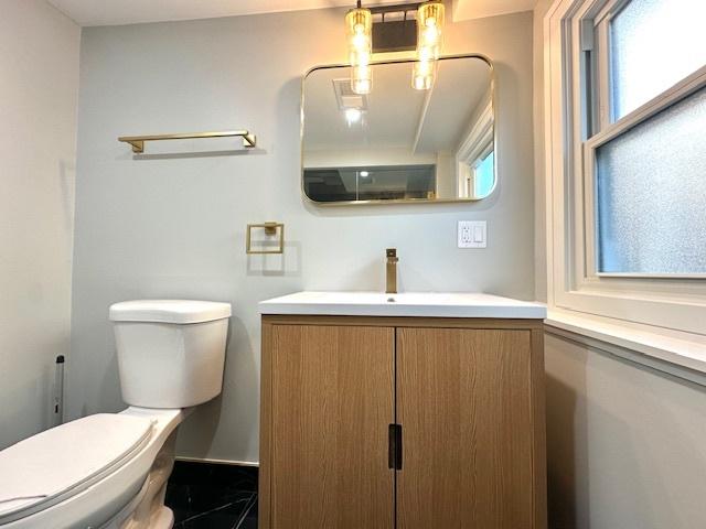 bathroom with toilet and vanity