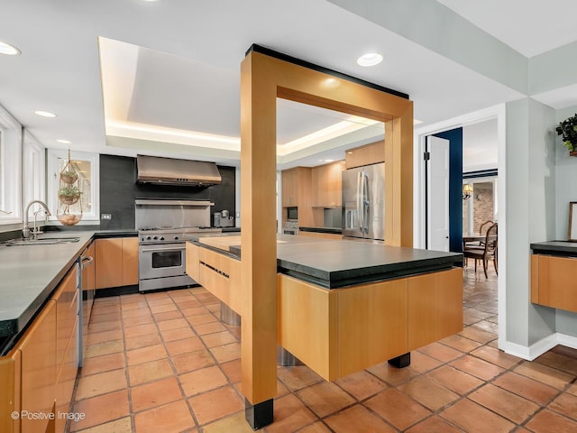 kitchen featuring light brown cabinetry, range hood, stainless steel appliances, modern cabinets, and a sink