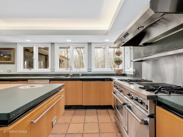 kitchen with recessed lighting, dark countertops, a sink, wall chimney exhaust hood, and appliances with stainless steel finishes