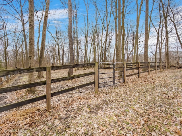 view of yard with fence and a gate