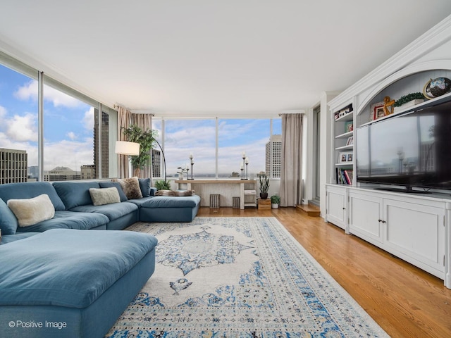 living area featuring expansive windows, a wealth of natural light, and light wood-style floors
