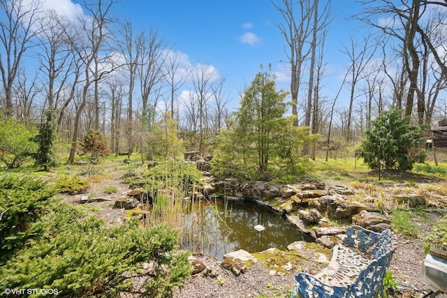 view of landscape with a small pond