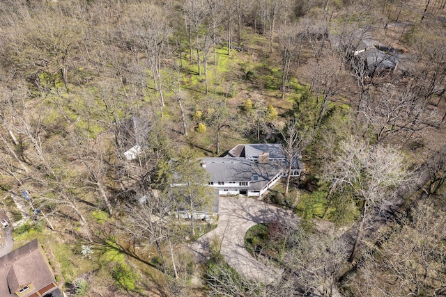 bird's eye view