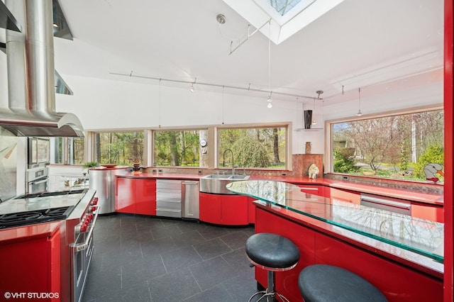 kitchen with red cabinetry, backsplash, rail lighting, a sink, and stainless steel appliances
