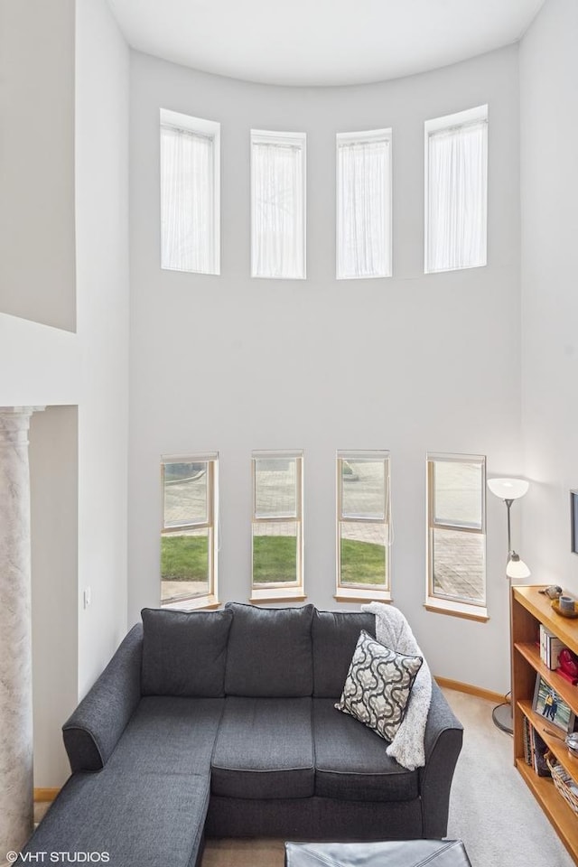 carpeted living room featuring plenty of natural light and a high ceiling