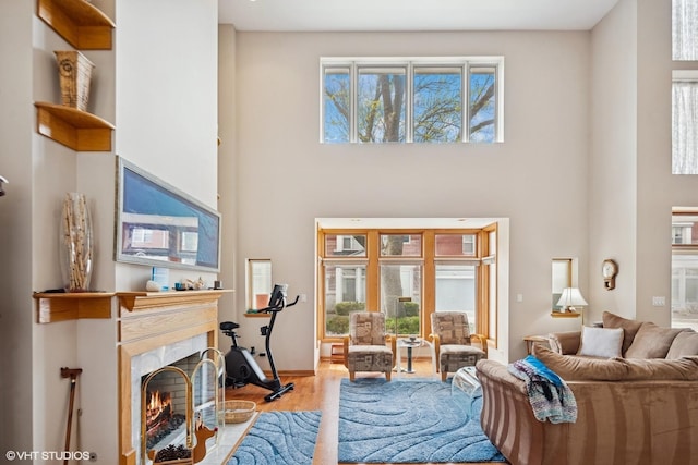 living area featuring wood finished floors, a high ceiling, and a wealth of natural light