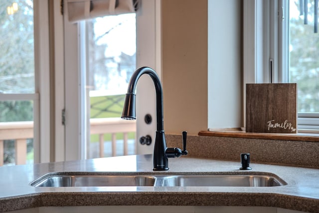 interior details featuring a sink