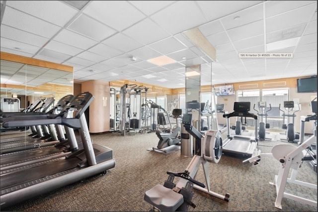 gym featuring carpet flooring and a paneled ceiling