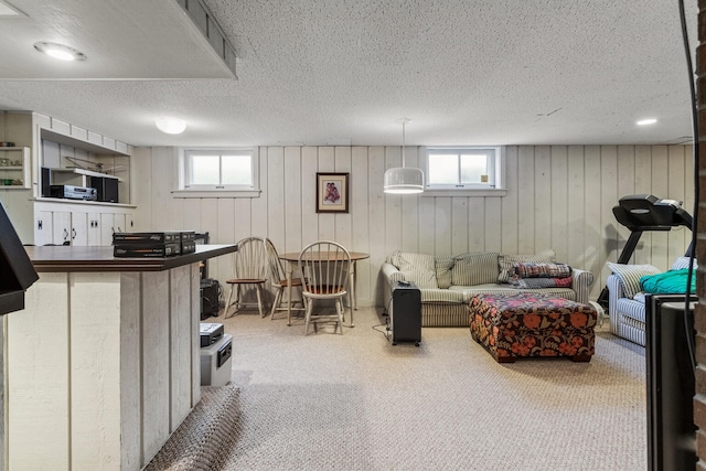 915 W Clark St, Champaign, IL 61821 - living area with a textured ceiling, carpet, and wooden walls