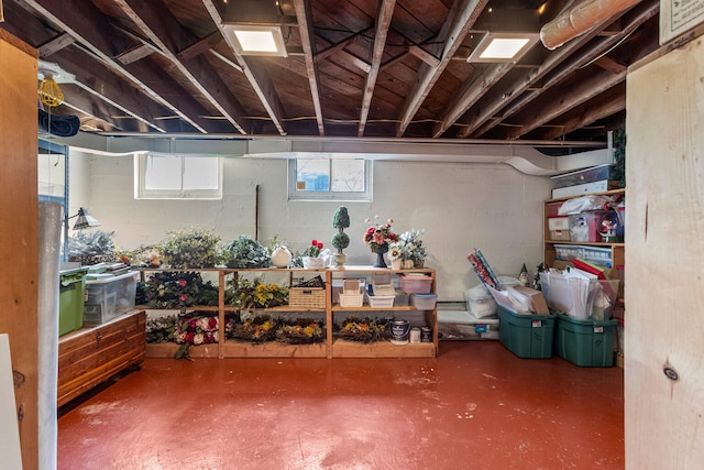915 W Clark St, Champaign, IL 61821 - view of below grade area