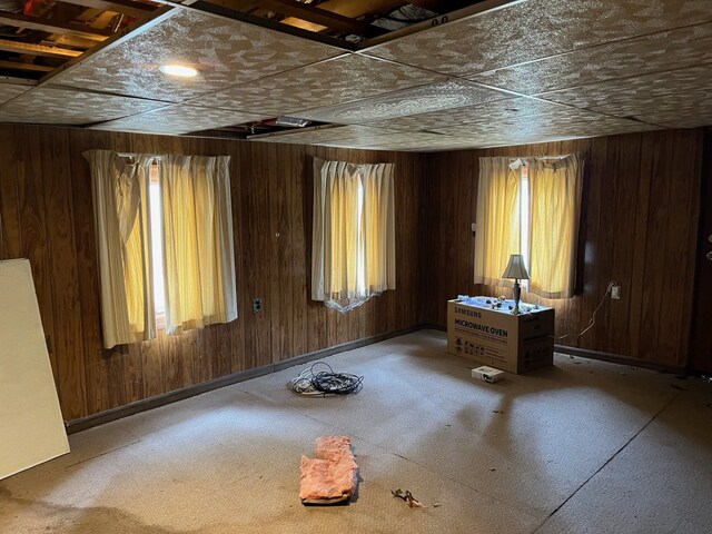 empty room featuring wood walls, a healthy amount of sunlight, and baseboards