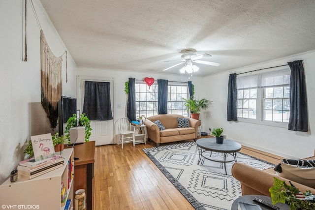 241 Tiverton Ln, Steger, IL 60475 - living area with a ceiling fan, a textured ceiling, and light wood finished floors