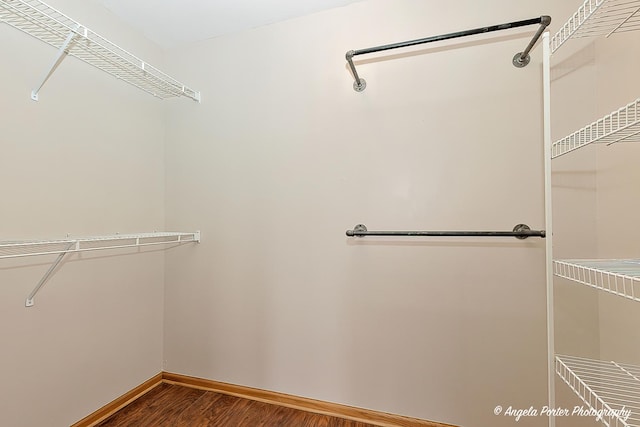 spacious closet featuring wood finished floors