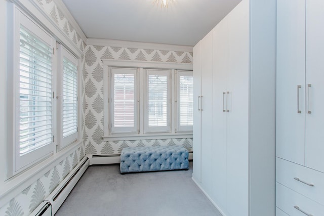 938 Edgemere Ct, Evanston, IL 60202 - walk in closet with carpet floors and a baseboard heating unit