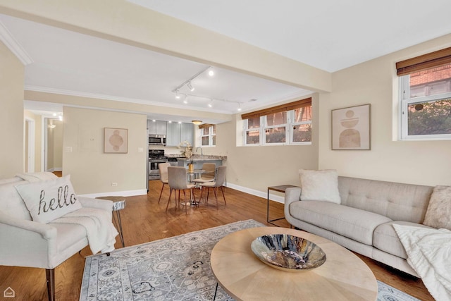 living room with a healthy amount of sunlight, baseboards, rail lighting, and wood finished floors
