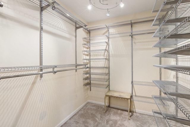 34457 N Bluestem Rd, Round Lake, IL 60073 - spacious closet with carpet flooring