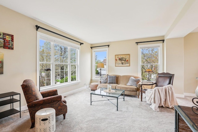 34457 N Bluestem Rd, Round Lake, IL 60073 - living room with carpet flooring and baseboards