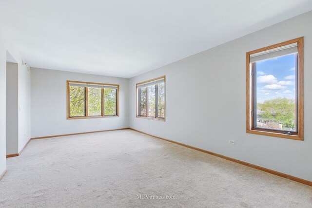7841 W 157th St Unit 303, Orland Park, IL 60462 - carpeted empty room with baseboards
