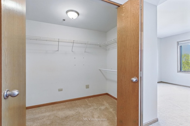 7841 W 157th St Unit 303, Orland Park, IL 60462 - spacious closet featuring carpet