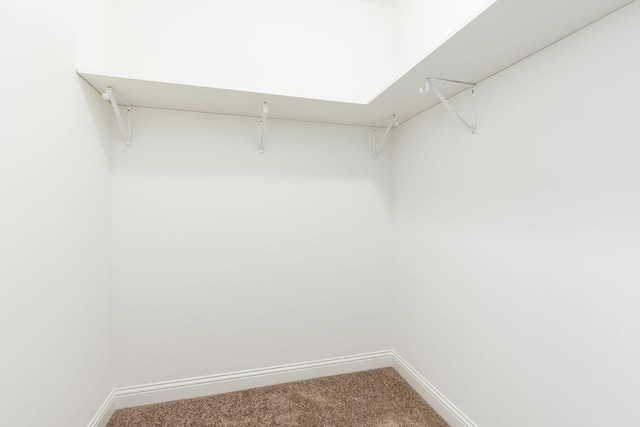 spacious closet featuring carpet floors
