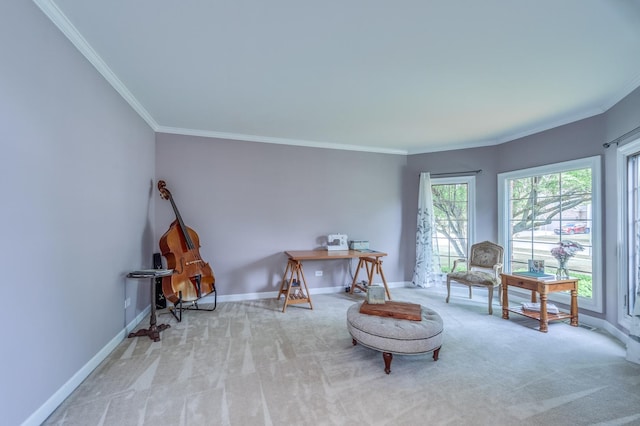 3908 Royal Portrush Dr, Naperville, IL 60564 - living area with carpet, crown molding, and baseboards