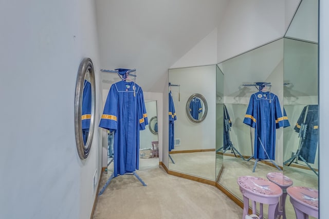 3908 Royal Portrush Dr, Naperville, IL 60564 - bathroom featuring lofted ceiling and baseboards