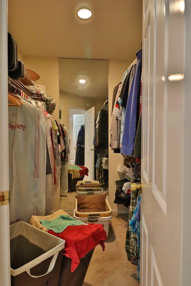 406 Woodcroft Ln, Schaumburg, IL 60173 - walk in closet featuring carpet flooring