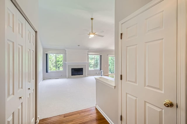238 Indian Ridge Ln, Lake Villa, IL 60046 - photo 5