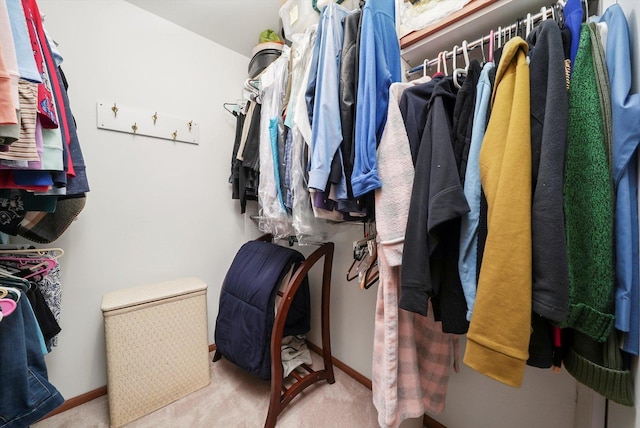 spacious closet with carpet floors