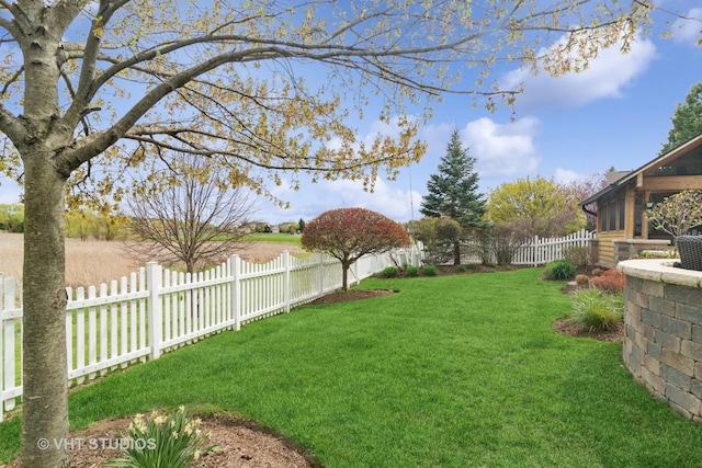 view of yard with a fenced backyard