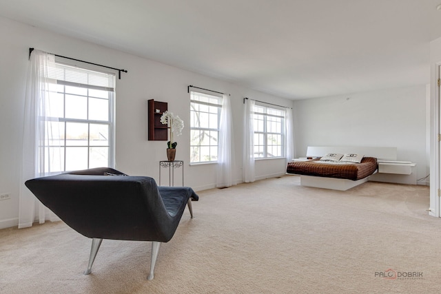 1330 Horizon Trl, Wheeling, IL 60090 - sitting room featuring baseboards and carpet