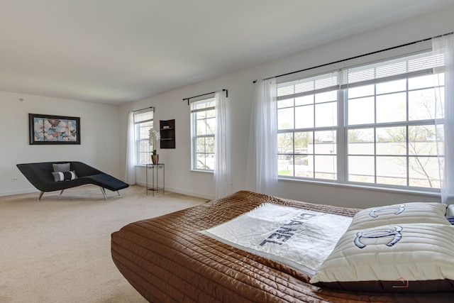 1330 Horizon Trl, Wheeling, IL 60090 - carpeted bedroom featuring baseboards