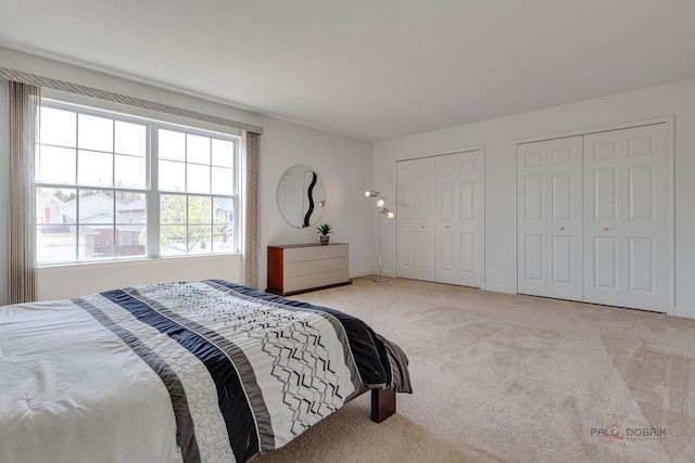1330 Horizon Trl, Wheeling, IL 60090 - carpeted bedroom featuring two closets