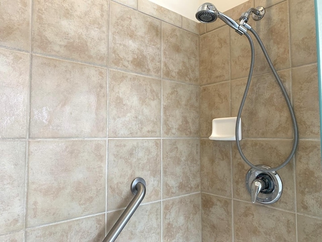 644 Tuscan Vw, Elgin, IL 60124 - bathroom view of tiled shower