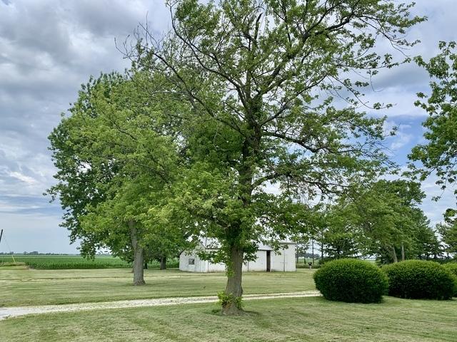 2700 E 600 N Rd, Milford, IL 60953 - view of yard