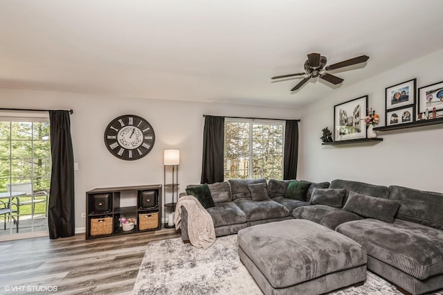 3095 Courtland St Unit 0, Woodstock, IL 60098 - living area with plenty of natural light, ceiling fan, and wood finished floors