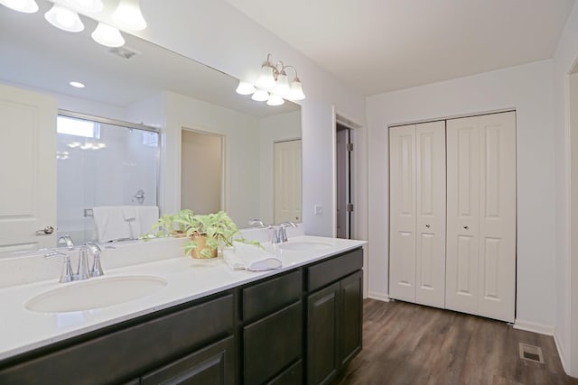 9303 Enstrom Ln, Huntley, IL 60142 - bathroom with a closet, double vanity, a shower stall, and wood finished floors