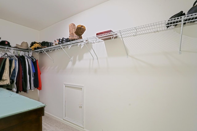 9303 Enstrom Ln, Huntley, IL 60142 - walk in closet with carpet