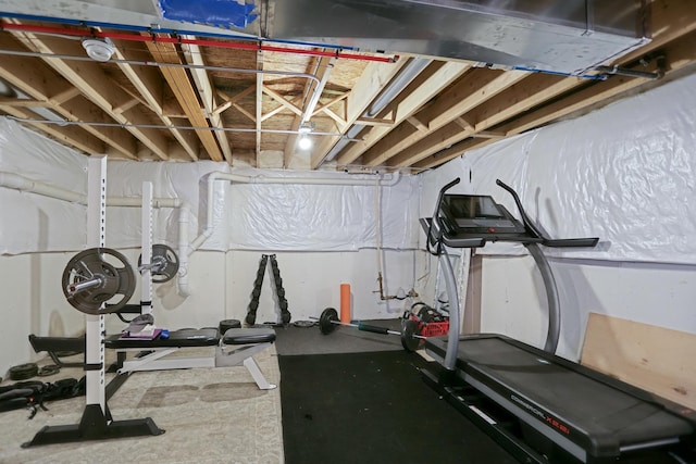 9303 Enstrom Ln, Huntley, IL 60142 - view of workout area