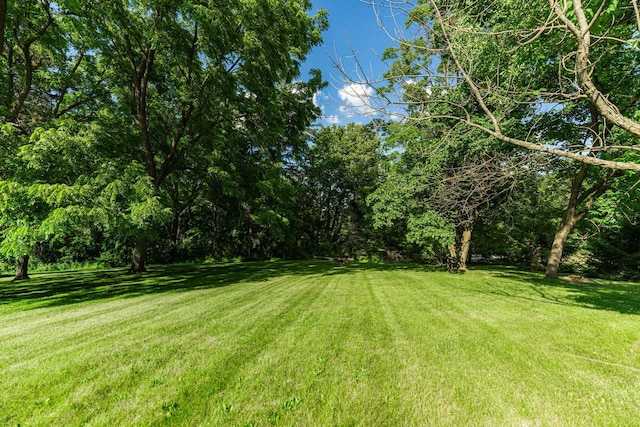36W172 Silver Glen Ct, Saint Charles, IL 60175 - photo 4