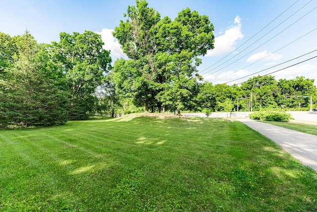 36W172 Silver Glen Ct, Saint Charles, IL 60175 - photo 6