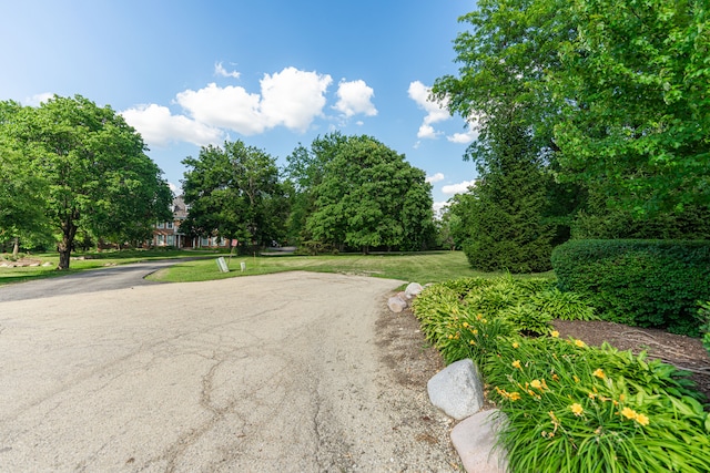 36W172 Silver Glen Ct, Saint Charles, IL 60175 - photo 9