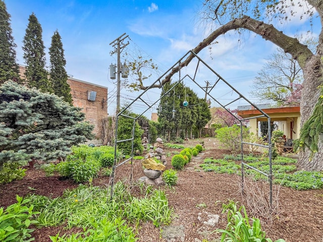 9515 S Damen Ave, Chicago, IL 60643 - view of yard