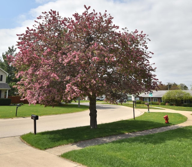 surrounding community with a yard