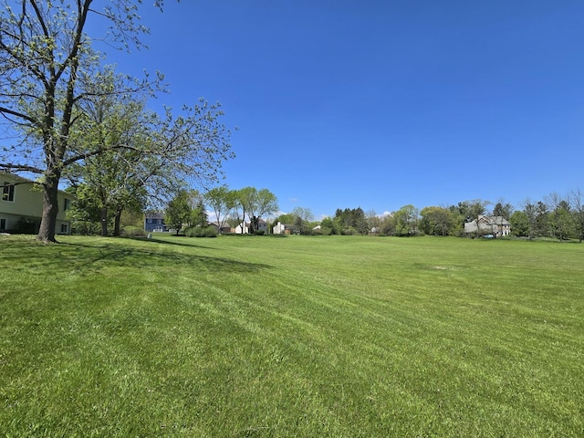 5116 Beechwood Ave, Gurnee, IL 60031 - view of green lawn