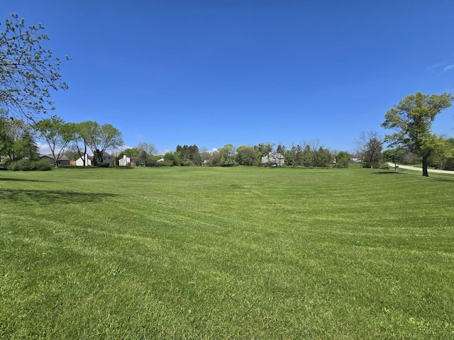5116 Beechwood Ave, Gurnee, IL 60031 - view of grassy yard