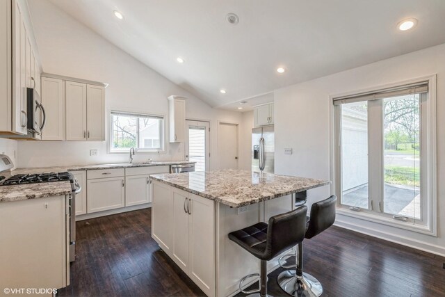 5116 Beechwood Ave, Gurnee, IL 60031 - kitchen with appliances with stainless steel finishes, dark wood-style flooring, vaulted ceiling, a kitchen island, and a breakfast bar