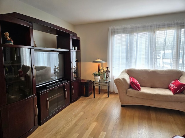 living area featuring light wood finished floors